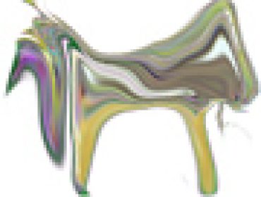 Noside Pet11 1277269736